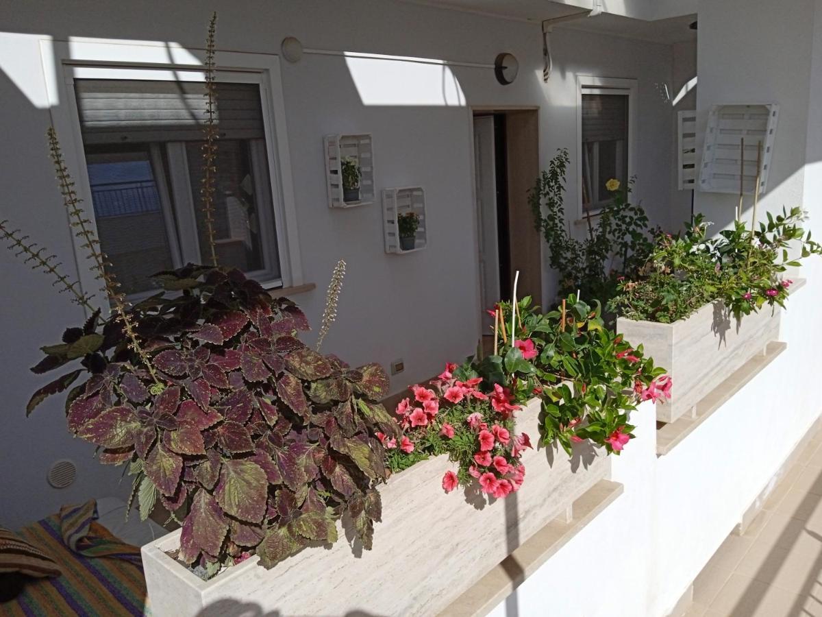 La Casa Di Elena Apartment Sannicandro di Bari Bagian luar foto