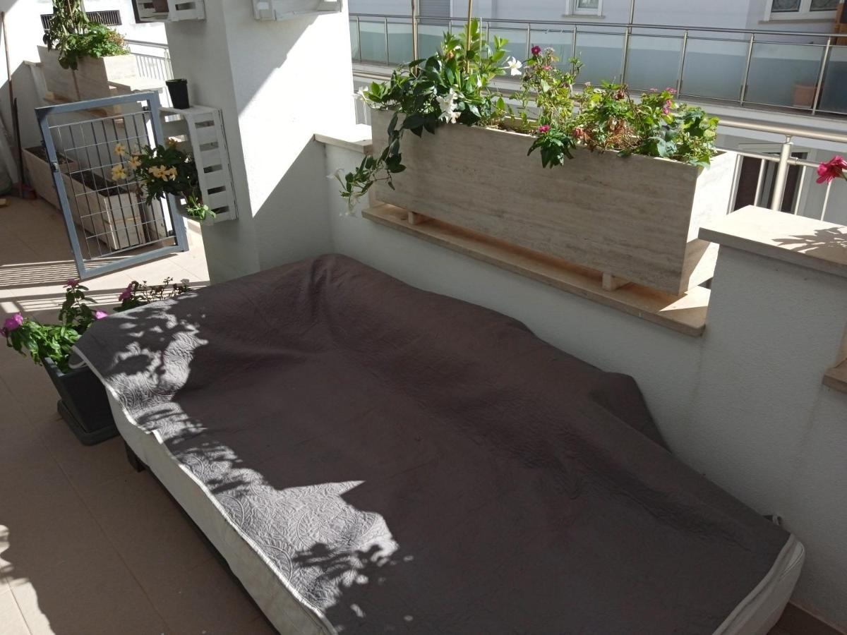 La Casa Di Elena Apartment Sannicandro di Bari Bagian luar foto